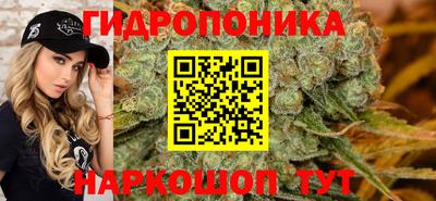 мдма Новозыбков