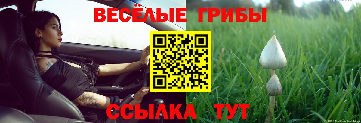 цены   Галлюциногенные грибы мицелий  Вход с VPN  Трёхгорный 